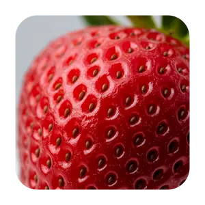 Fresa
