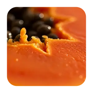 2Papaya
