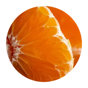 1Mandarina